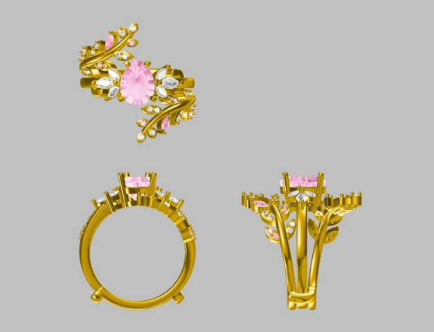 Selected Variant Image
